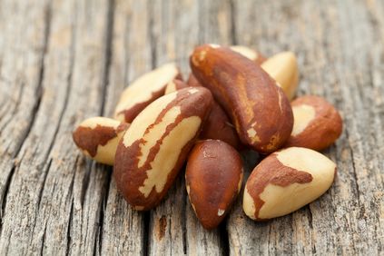 Brazil nut press cake / Brazil nut flouris obtained from the defatted Brazil nut press cake (Bertholletia excelsa) which has undergone a milling process.  It can be used in confectionery, bakery products (replaces 15% wheat flour), breaded or as thickener